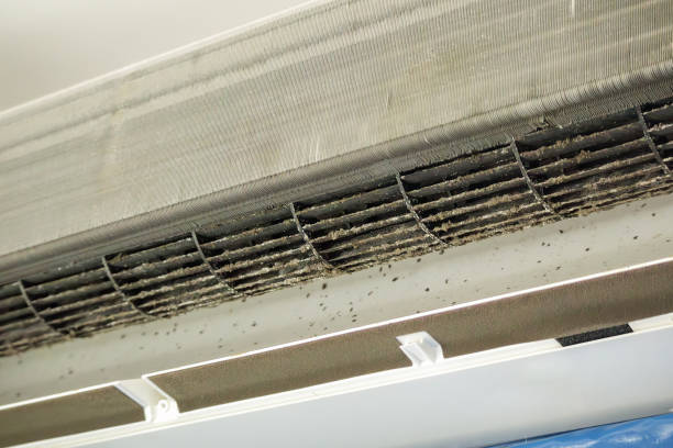 Best Professional Duct Cleaning Services  in Tremont, PA