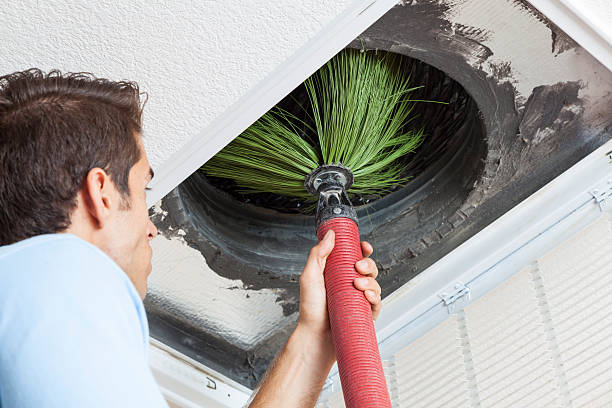 Best Affordable Air Duct Cleaning  in Tremont, PA