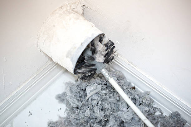 Best Home Air Vent Cleaning  in Tremont, PA