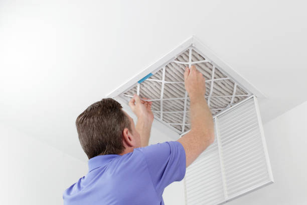 Best Local Air Duct Cleaning Services  in Tremont, PA